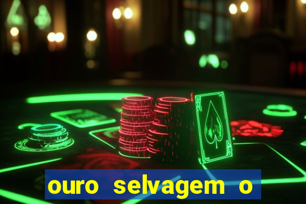 ouro selvagem o que aconteceu na vida